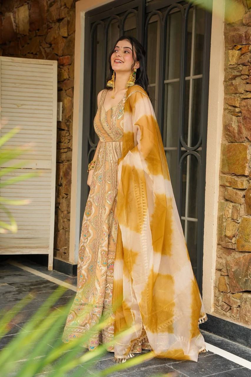 Party Wear Look Designer Gown And Beautiful Dupatta