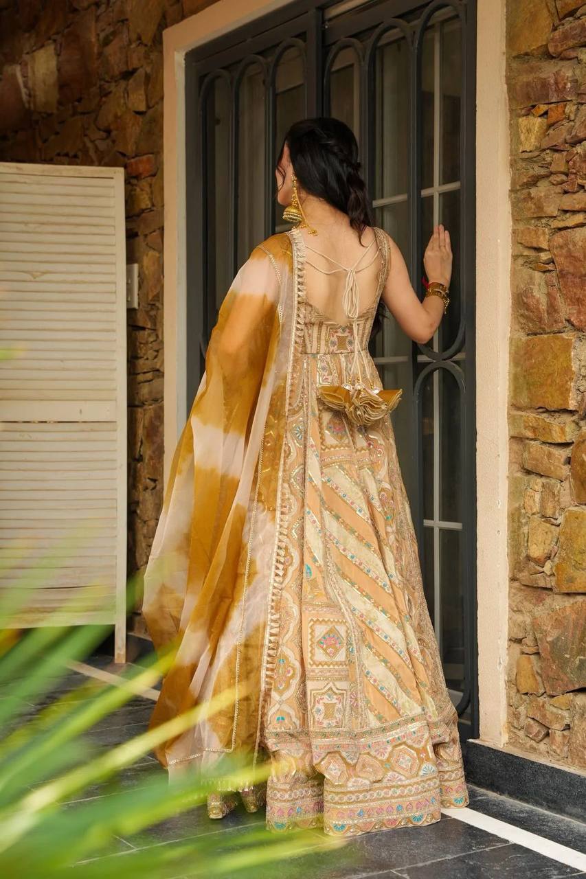 Party Wear Look Designer Gown And Beautiful Dupatta