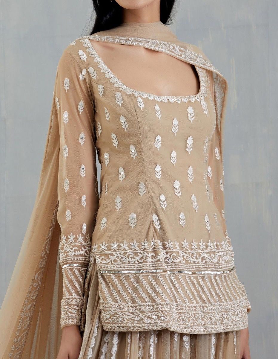 पार्टी वियर लुक खूबसूरत टॉप-बॉटम और दुपट्टा