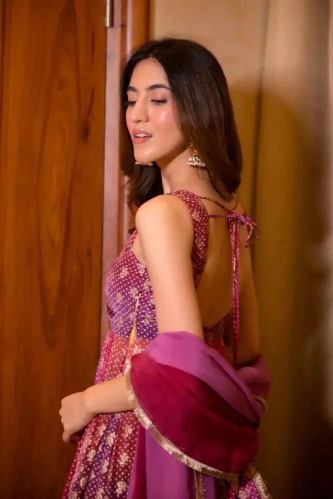 Party Wear Look Beautiful Anarkali Gown And Dupatta