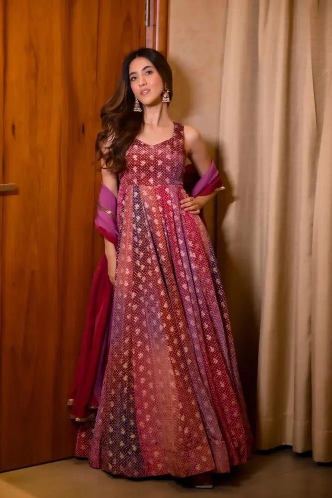 Party Wear Look Beautiful Anarkali Gown And Dupatta