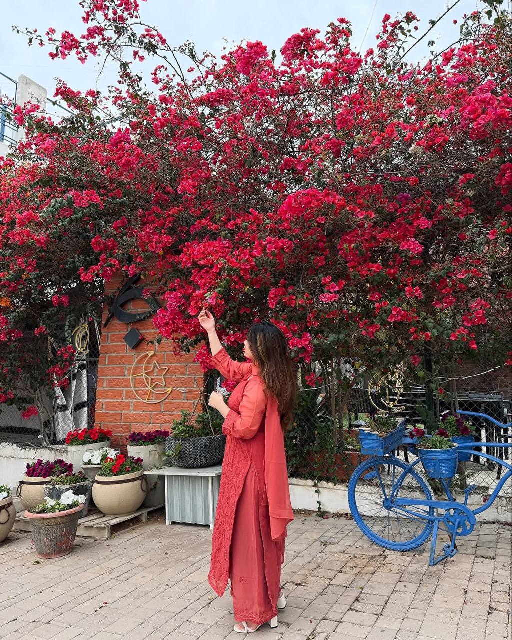 पार्टी वियर लुक टॉप-बॉटम और दुपट्टा