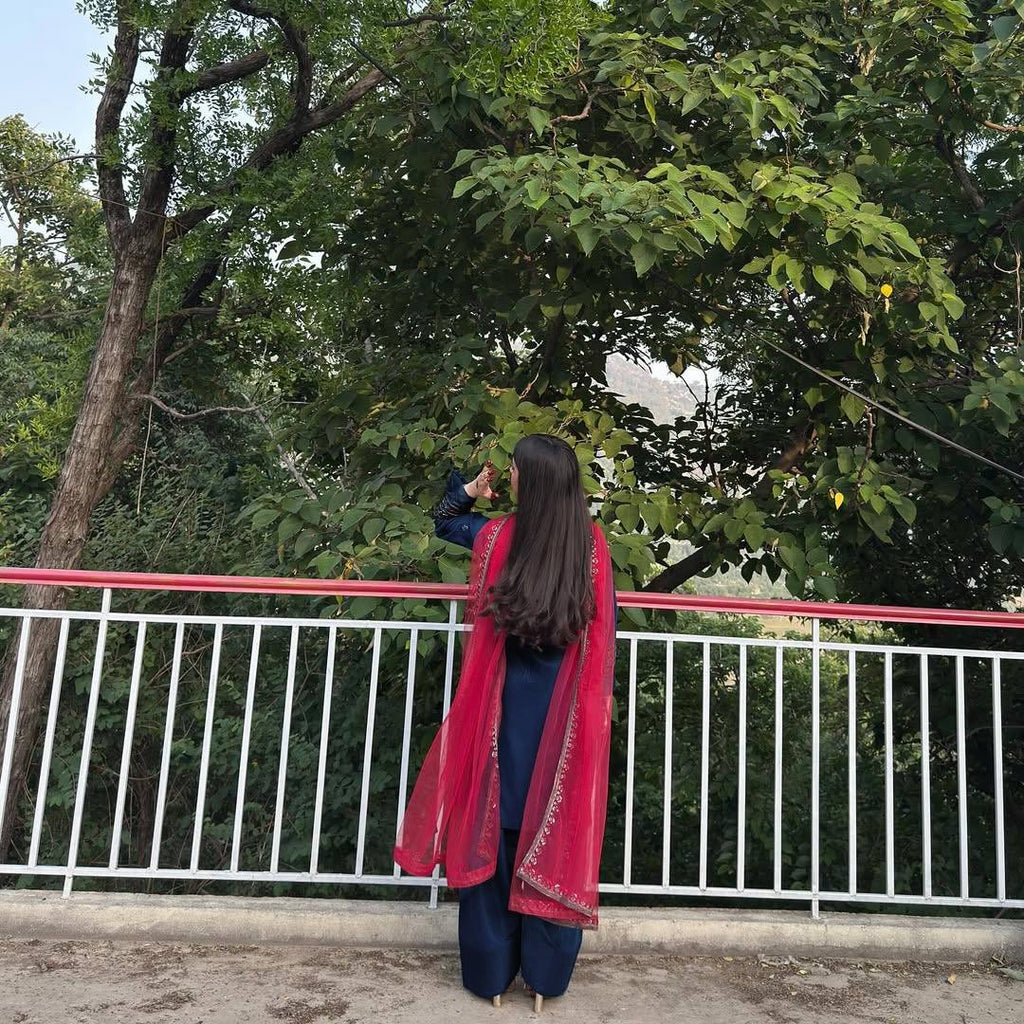 ज़री, धागे और सेक्विन कढ़ाई के काम के साथ डिज़ाइनर सूट सेट