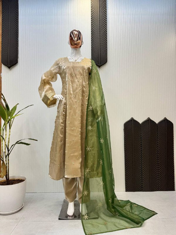 पार्टी में पहनने के लिए सुंदर टॉप और बॉटम दुपट्टे के साथ