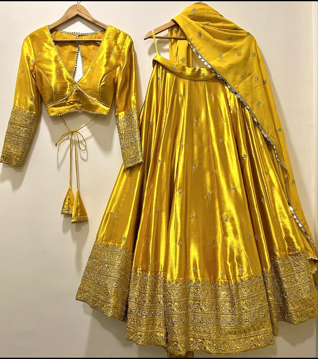 कढ़ाई सीक्वेंस वर्क के साथ पार्टी वियर लहंगा चोली