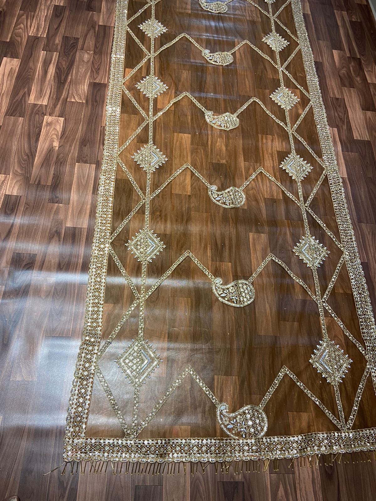 खूबसूरत कोडिंग वर्क के साथ पार्टी वियर लहंगा चोली