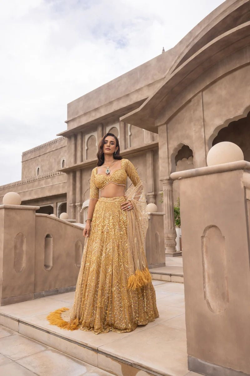 Designer Lehenga Choli  With Beautiful Dori Work