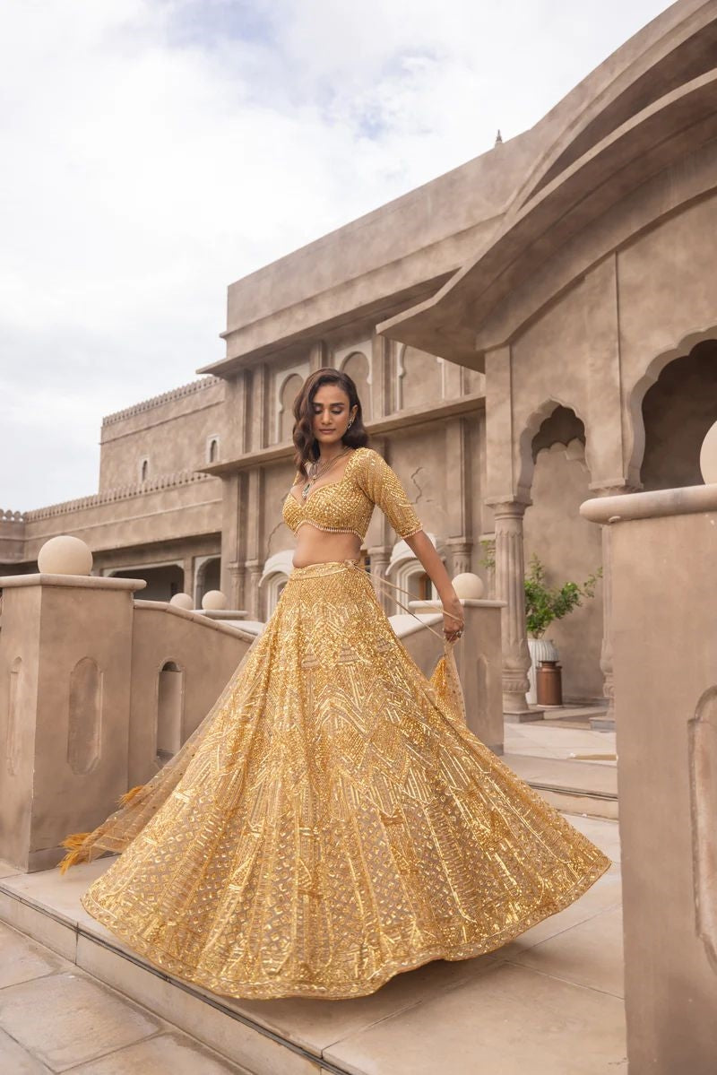 Designer Lehenga Choli  With Beautiful Dori Work